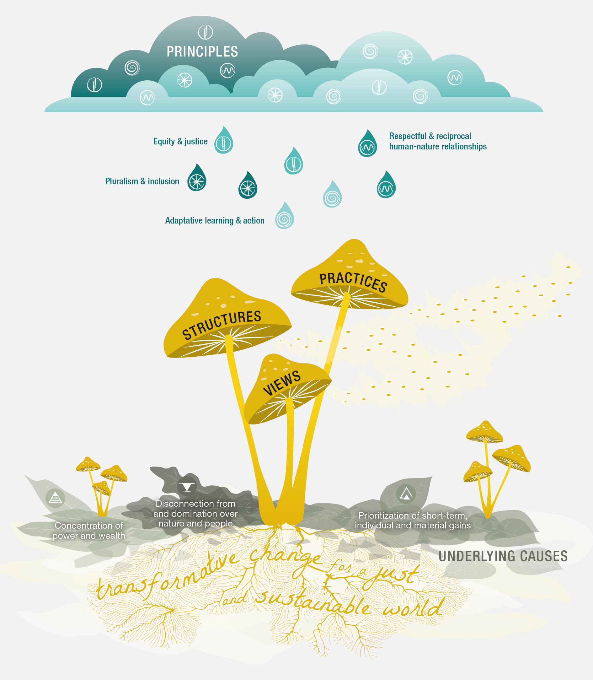 IPBES_TCA_Ch1_figure_fig 1.9_mushrooms_V17